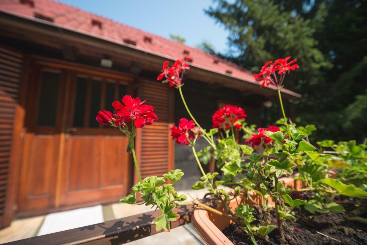 In The Woods Vukelic Holiday home